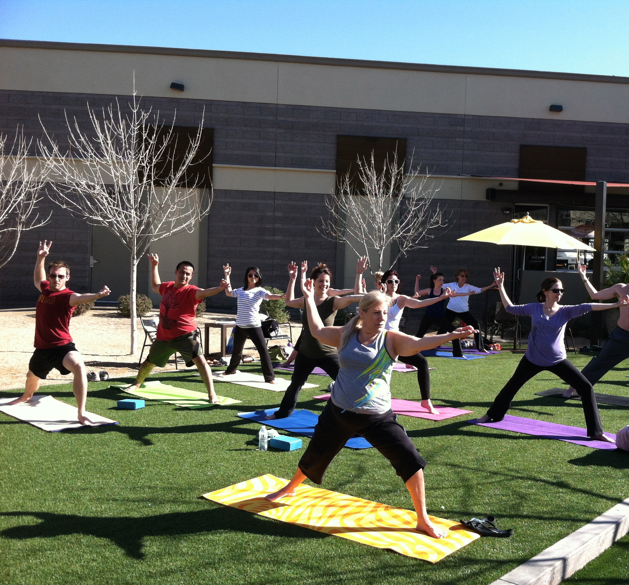 A group practicing warrior pose on the lawn outside Postino East